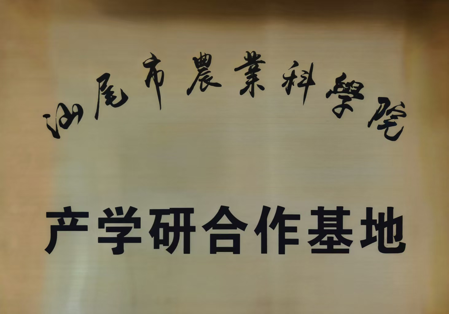 汕尾农科院产学研合作基地(图1)