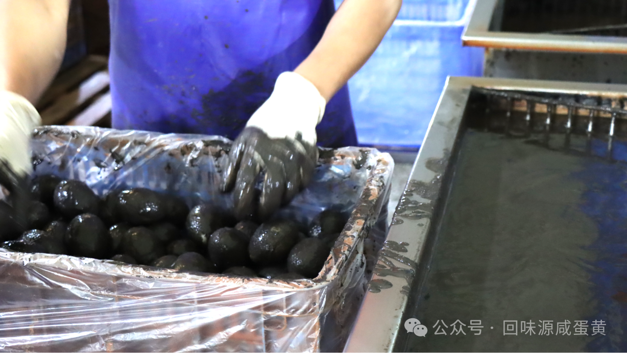 回味源高端定制咸蛋黄：2025，回味源专注咸蛋黄行业的第29年(图16)