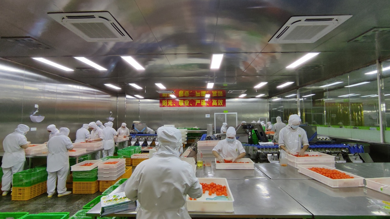 广州回味源蛋类食品有限公司：30年咸蛋黄专精高新技术企业(图2)