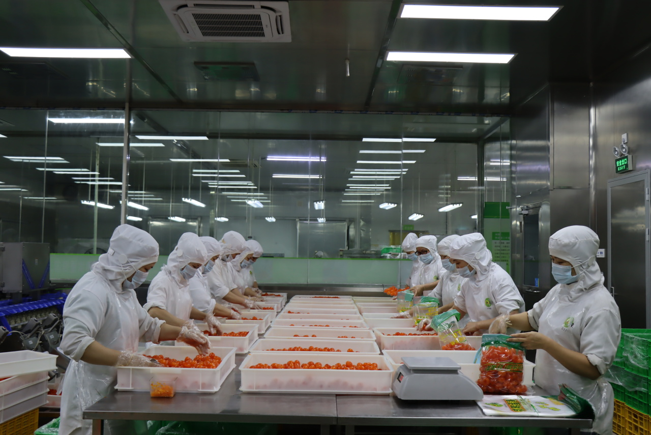 广州回味源蛋类食品有限公司：30年咸蛋黄专精高新技术企业(图13)