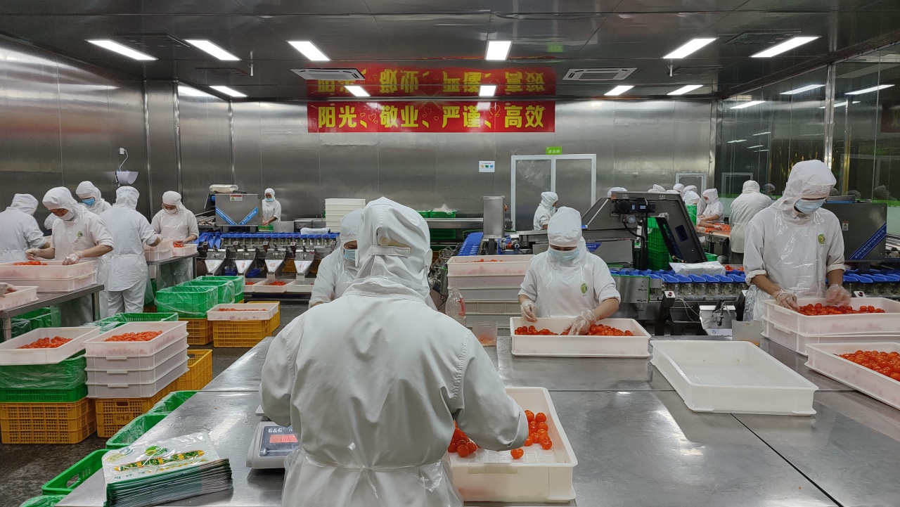 回味源高端定制咸蛋黄：草木灰慢腌48天，油润起沙，为中秋品质赋能(图9)